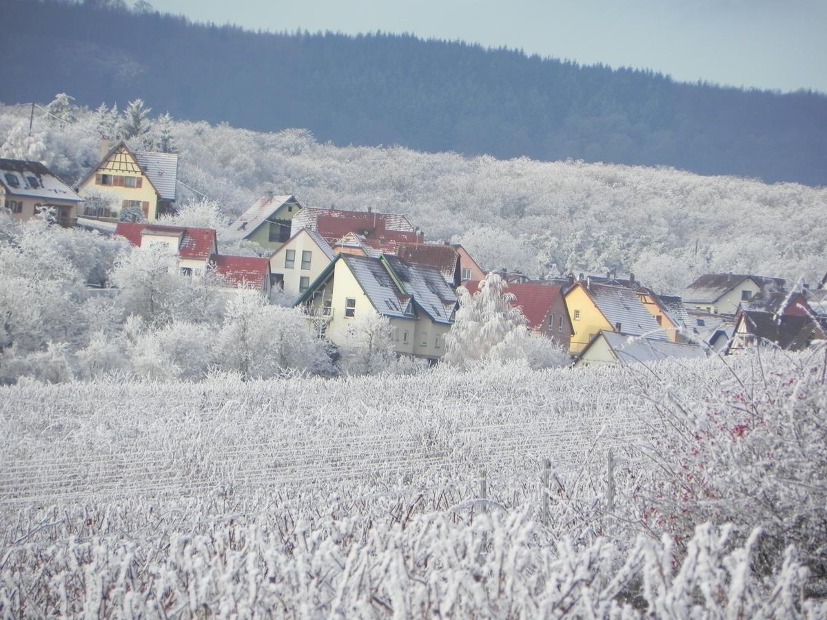 Nid De Cigognes Apartment Rosheim ภายนอก รูปภาพ