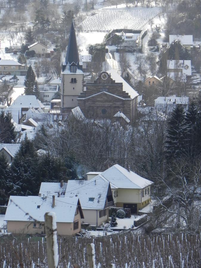 Nid De Cigognes Apartment Rosheim ภายนอก รูปภาพ