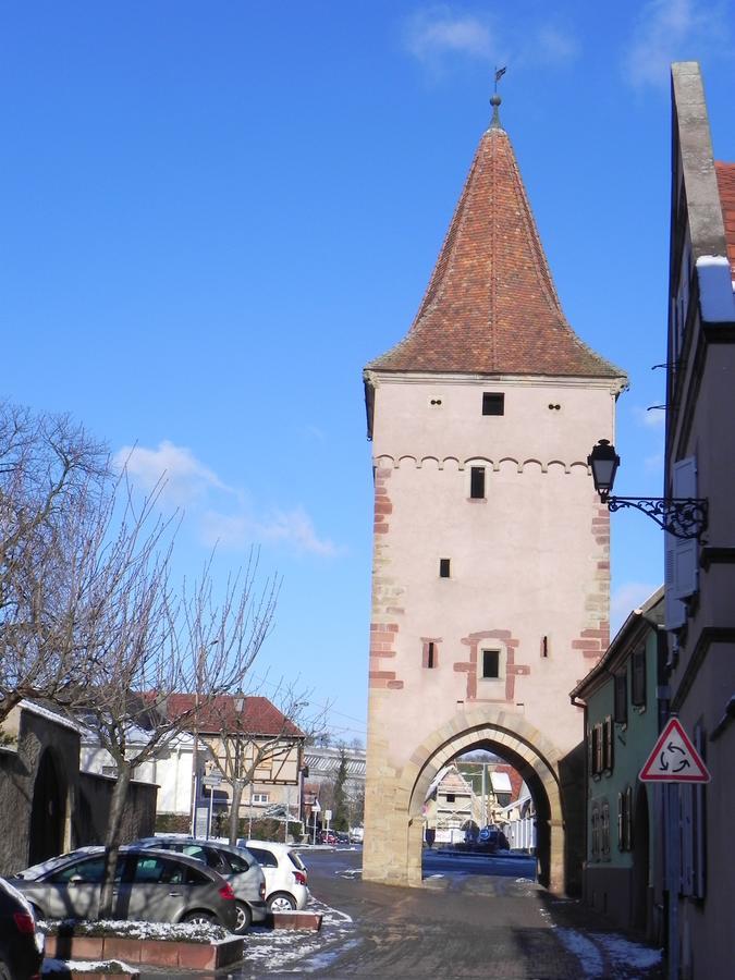 Nid De Cigognes Apartment Rosheim ภายนอก รูปภาพ